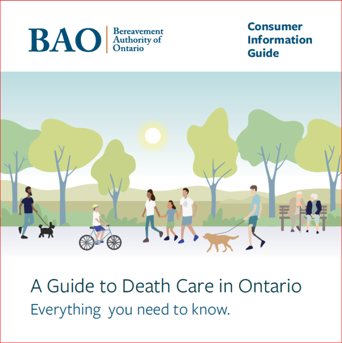 Cover Page for BAO Guide