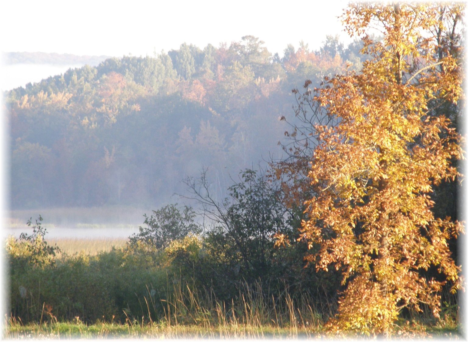 Fall photo of Rydal Bank looking towards Otter Tail Lake