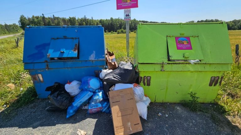 Image of garbage bins located at corner of Aho and Centre Line Roads